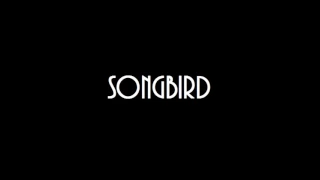 Wróbletto - Songbird (Fleetwood Mac cover)