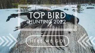 Top bird hunting 2022 - year of the black grouse (with subs)