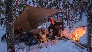 Winter Camping with My Dog - Delicious Campfire Cooking