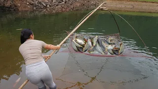 Full Videos: Unique Fishing - Pumping water outside the natural lake, Harvesting a lot of big fish