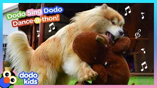 Dance Like This Big, Goofy Dog | Dodo Sing, Dodo Dance | Dodo Kids