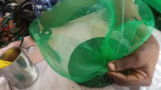 How to use cardboard to make fascinator (for beginners)