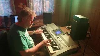 The "Kill Bill" Theme /The Lonely Shepherd  | Keyboard COVER by Ole Hegelund