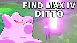 Where to FIND a 6 max IV DITTO ► Pokemon Sword & Shield