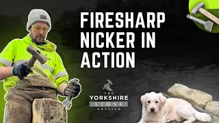 Firesharp Nicker ⚒️