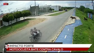 14-03-22 - Motociclista bate contra cavalo