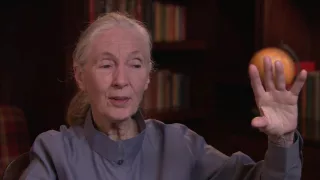 Dame Jane Goodall, Academy Class of 1987, Part 11
