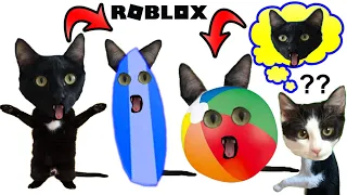 Gato jugando a las escondidas en roblox vs gatitos Luna y Estrella Videos de Hide and Seek Prop Hunt