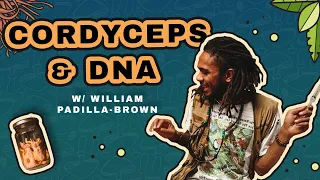 Cordyceps, DNA & Creating Abundance with Mushrooms: William Padilla-Brown of MycoSymbiotics