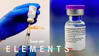 What’s In the Pfizer & Moderna COVID Vaccines?