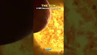 Sun vs Red Giant Star 🥹😶‍🌫️