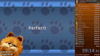Garfield: A Tail of Two Kitties (DS) - Any% Speedrun in 59:14.03 (First Run)