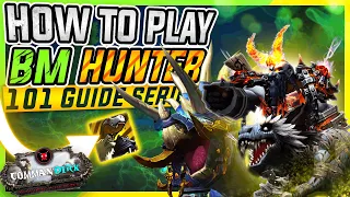 BM Hunter PvP (beginner’s) Guide | Build, Rotation, Stats & More | World of Warcraft Dragonflight