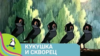 👨‍👨‍👧‍👧 О СЕМЬЕ ВОРОБЬЕВ, КОТОРЫЕ ОСТАЛИСЬ БЕЗ ДУПЛА! Кукушка и скворец. Союзмультфильм.