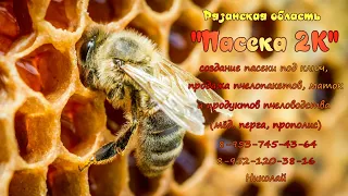 Зимовка пчел под снегом 2. Испражнения на улье Нозематос? Или очистительный облет? Пчелы на приделе?