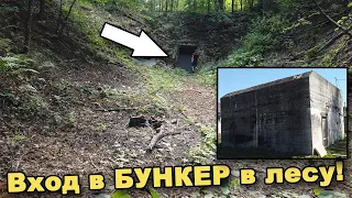 БУНКЕР в лесу! Обследование бункера Генрих Гиммлер. Часть 4. В поисках сокровищ