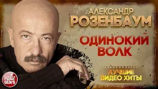 АЛЕКСАНДР РОЗЕНБАУМ ✪ ОДИНОКИЙ ВОЛК ✪ LIVE ✪ ALEXANDER ROZENBAUM ✪ THE LONE WOLF