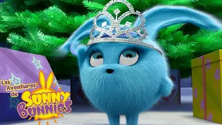 Shiny a princesa | Las Aventuras de Sunny Bunnies | Dibujos para niños