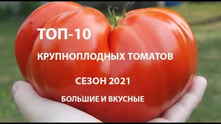 ТОП-10 Лучших КРУПНОПЛОДНЫХ ТОМАТОВ, мясистые, невероятно вкусные и урожайные, сезон 2021 года