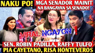 Naku po! Sen. Padilla,Hontiveros,Tulfo at ibang senador,nagkainitan bangayan debate sa senado