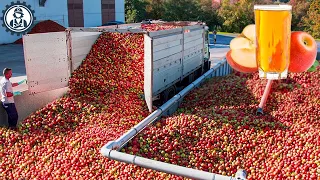 Satisfying Videos Food Processing Machines That At Another Level ▶116