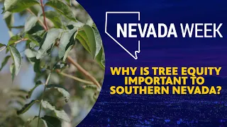 Nevada Week S6 Ep10 Clip | Why is Tree Equity Important to Southern Nevada?