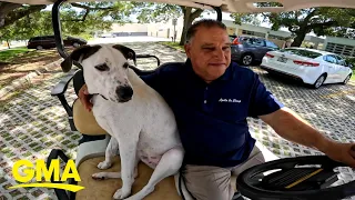 Deaf man forms unbreakable bond with adopted deaf dog l GMA