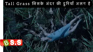 In the Tall Grass Movie Review/Plot In Hindi & Urdu