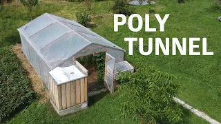 A Tour Through Our Permaculture Polytunnel