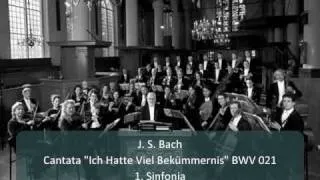 J. S. Bach - Cantata "Ich Hatte Viel Bekümmernis" BWV 21 - 1. Sinfonia (1/11)