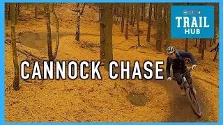 Cannock Chase | Monkey Trail and Follow the Dog