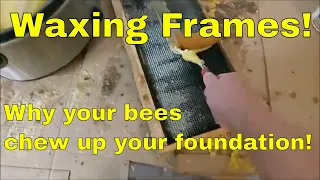 Waxing Foundation | Why your bees chew up your foundation!-That Bee Man