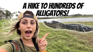 You Won't Believe What We Saw Exploring Myakka River State Park