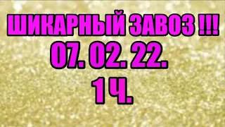 🌸Продажа орхидей. ( Завоз 07. 02. 22 г.) 1 ч. Отправка только по Украине. ЗАМЕЧТАТЕЛЬНЫЕ КРАСОТКИ👍