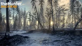 theHunter: Call Of The Wild - Medved Taiga Ep.22 - Know Your Reindeer