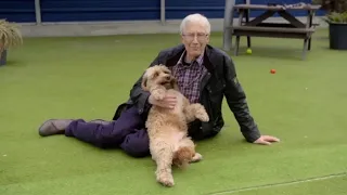 Paul O'Grady: For the Love of Dogs S010E01 Full Episode HD