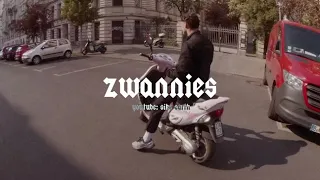Pashanim - Zwannies