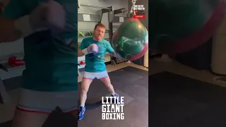 CANELO DESTROYS HEAVY BAG TRAINING FOR CHARLO FIGHT