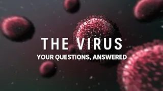 Coronavirus Q&A with Sophie Scott and Dr Hannah Sassi | ABC News