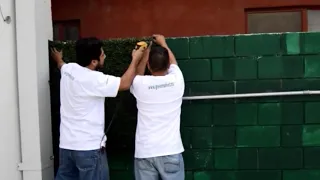 Artificial hedge on hardsurface wall
