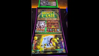 $9000 Grand Jackpot!!#龙腾虎啸 超级现金大奖! #MightyCash #HandPay #slots #老虎机 #lasvegas #casino