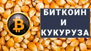 Рост Биткоина - баловство, а кукурузы - проблема