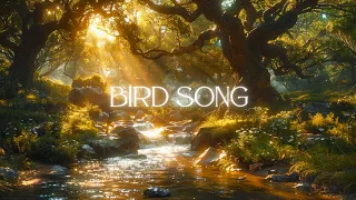 Bird Song - Calm Ambient Music with Sounds of Nature - Meditative Healing Music.