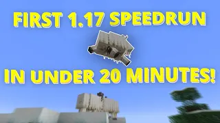 I speedran Minecraft 1.17 In Under 20 Minutes..