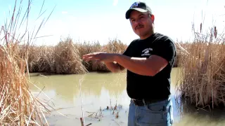 Bank Fishing Tip: How Catfish Bite In Rivers And Streams