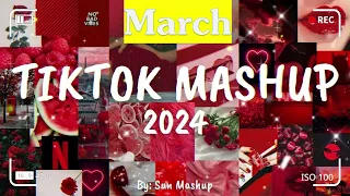 tiktok mashup 2024 March (clean)💕💕