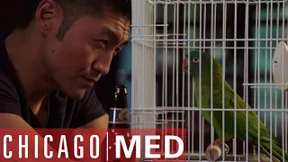 Dr Choi Rescues A New Companion | Chicago Med