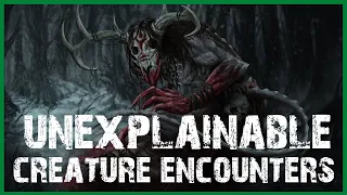 60 SCARY CREATURE ENCOUNTER HORROR STORIES (COMPILATION)