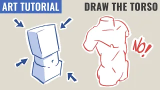 How to Draw the Torso | Simplify Anatomy