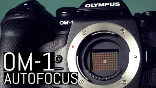 OM System OM-1 – Autofocus Expert Guide